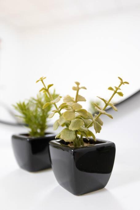 안코나 Loft 55 Domu De Tuni 빌라 외부 사진